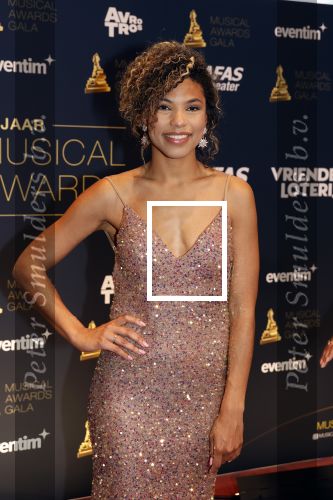 Leusden 16 april 2025
Musicalawards gala bij AFAS . Anne Appelo