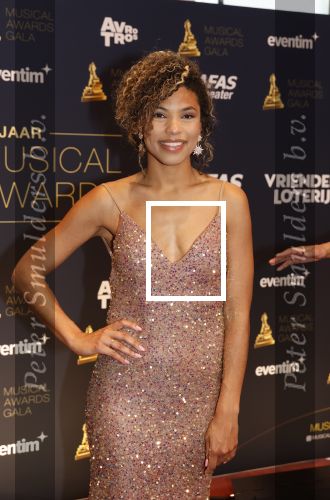 Leusden 16 april 2025
Musicalawards gala bij AFAS . Anne Appelo