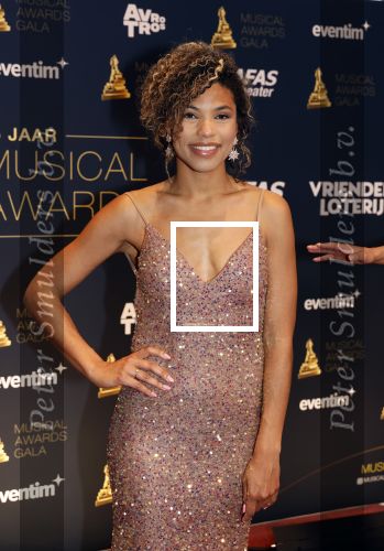 Leusden 16 april 2025
Musicalawards gala bij AFAS . Anne Appelo