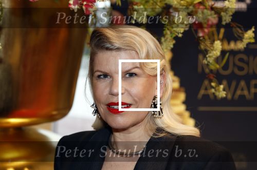 Leusden 16 april 2025
Musicalawards gala bij AFAS . Anne Marie Jung