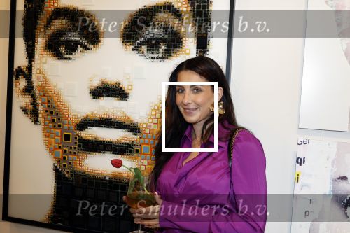 Amsterdam 23 mei 2025
Opening expositie Maik de Boer bij gallet Cobra . Antine Algra