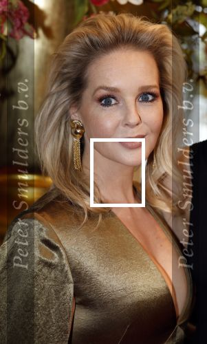 Leusden 16 april 2025
Musicalawards gala bij AFAS . Chantal Janzen