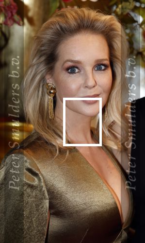 Leusden 16 april 2025
Musicalawards gala bij AFAS . Chantal Janzen