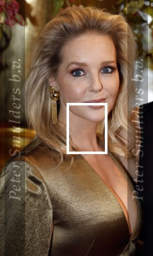 Leusden 16 april 2025
Musicalawards gala bij AFAS . Chantal Janzen