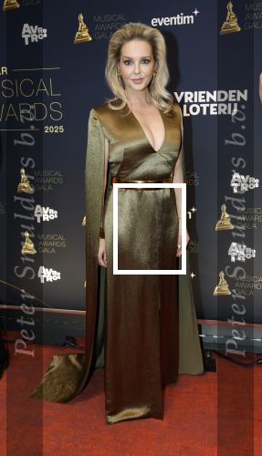 Leusden 16 april 2025
Musicalawards gala bij AFAS . Chantal Janzen