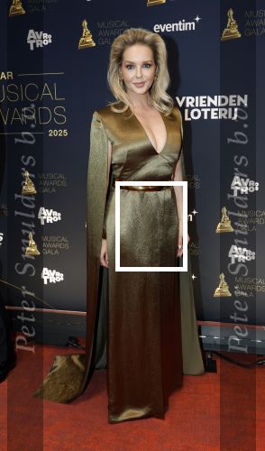 Leusden 16 april 2025
Musicalawards gala bij AFAS . Chantal Janzen