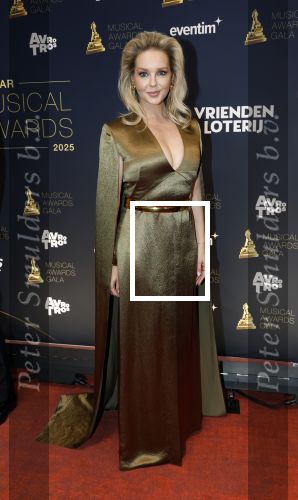 Leusden 16 april 2025
Musicalawards gala bij AFAS . Chantal Janzen