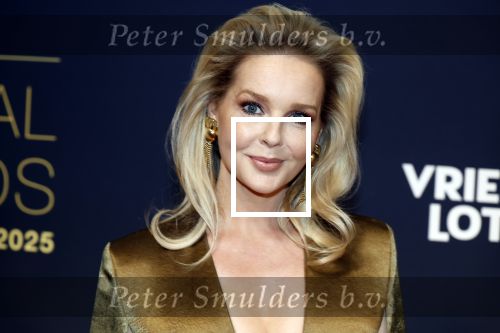 Leusden 16 april 2025
Musicalawards gala bij AFAS . Chantal Janzen
