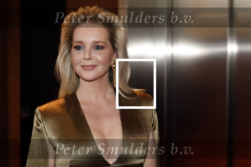 Leusden 16 april 2025
Musicalawards gala bij AFAS . Chantal Janzen