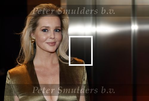 Leusden 16 april 2025
Musicalawards gala bij AFAS . Chantal Janzen