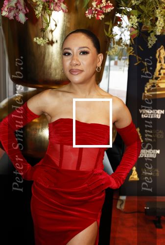 Leusden 16 april 2025
Musicalawards gala bij AFAS . Gaia Aikman