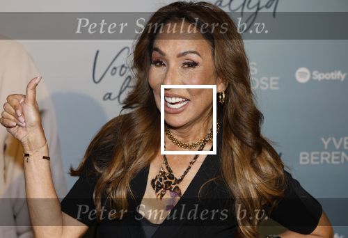 Amsterdam 14 mei 2025
Feestje Yves Berendse bij the Harbour Club. Patty Brard