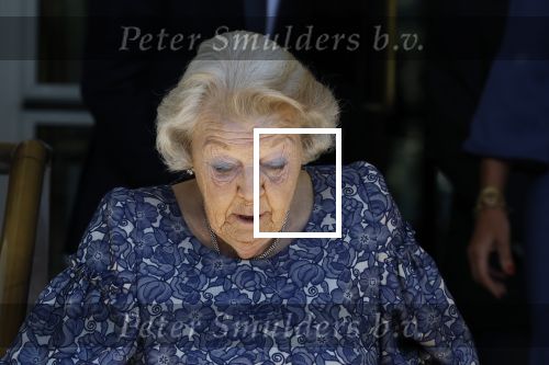 Amsterdam 20 mei 2025
Prinses Beatrix opent Art Zuid in Amsterdam zuid. Prinses Beatrix loopt met 2 wandelstokken .