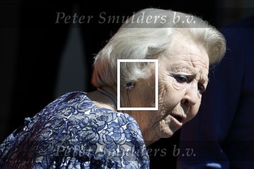 Amsterdam 20 mei 2025
Prinses Beatrix opent Art Zuid in Amsterdam zuid. Prinses Beatrix loopt met 2 wandelstokken .