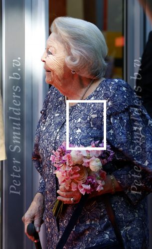 Amsterdam 20 mei 2025
Prinses Beatrix opent Art Zuid in Amsterdam zuid. Prinses Beatrix loopt met 2 wandelstokken .