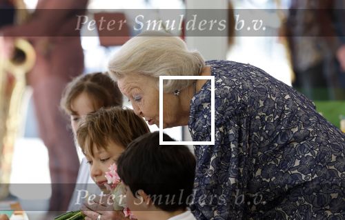 Amsterdam 20 mei 2025
Prinses Beatrix opent Art Zuid in Amsterdam zuid. Prinses Beatrix loopt met 2 wandelstokken .