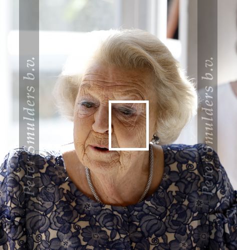 Amsterdam 20 mei 2025
Prinses Beatrix opent Art Zuid in Amsterdam zuid. Prinses Beatrix loopt met 2 wandelstokken .