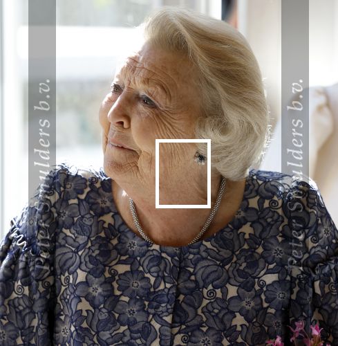 Amsterdam 20 mei 2025
Prinses Beatrix opent Art Zuid in Amsterdam zuid. Prinses Beatrix loopt met 2 wandelstokken .