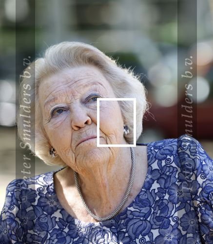 Amsterdam 20 mei 2025
Prinses Beatrix opent Art Zuid in Amsterdam zuid. Prinses Beatrix loopt met 2 wandelstokken .
