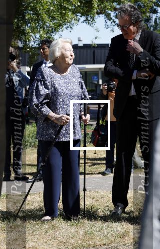 Amsterdam 20 mei 2025
Prinses Beatrix opent Art Zuid in Amsterdam zuid. Prinses Beatrix loopt met 2 wandelstokken .