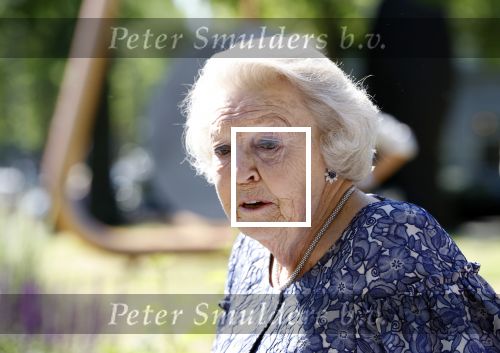 Amsterdam 20 mei 2025
Prinses Beatrix opent Art Zuid in Amsterdam zuid. Prinses Beatrix loopt met 2 wandelstokken .