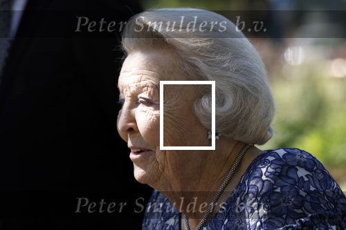 Amsterdam 20 mei 2025
Prinses Beatrix opent Art Zuid in Amsterdam zuid. Prinses Beatrix loopt met 2 wandelstokken .