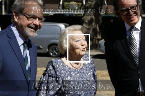 Amsterdam 20 mei 2025
Prinses Beatrix opent Art Zuid in Amsterdam zuid. Prinses Beatrix loopt met 2 wandelstokken .