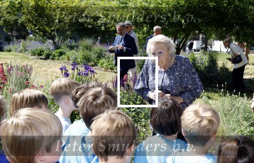 Amsterdam 20 mei 2025
Prinses Beatrix opent Art Zuid in Amsterdam zuid. Prinses Beatrix loopt met 2 wandelstokken .