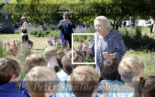 Amsterdam 20 mei 2025
Prinses Beatrix opent Art Zuid in Amsterdam zuid. Prinses Beatrix loopt met 2 wandelstokken .