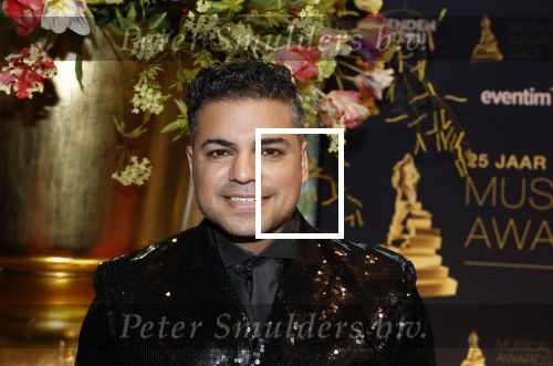 Leusden 16 april 2025
Musicalawards gala bij AFAS . rayen panday