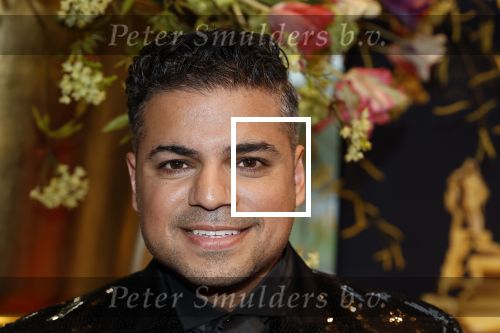Leusden 16 april 2025
Musicalawards gala bij AFAS . rayen panday