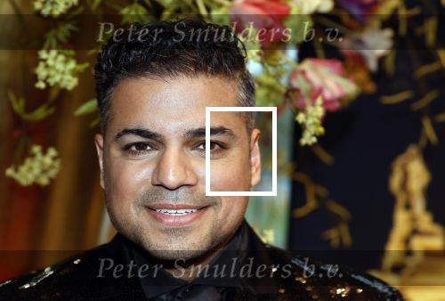Leusden 16 april 2025
Musicalawards gala bij AFAS . rayen panday