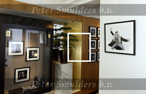 Amsterdam 19 mei 2025
Fotoexpositie en boekpresentatie van fotos van Govert de Roos van Rob de Nijs in het Americain Hotel.