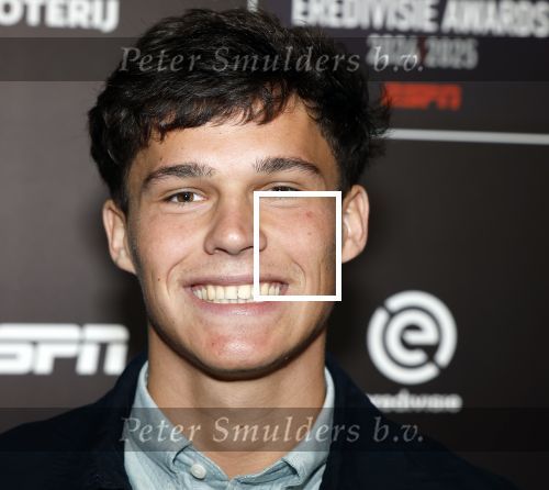 Maarssen 26 mei 2025
ESPN eredivisie awards in the fabrique in Maarsen . Thom van Bergen