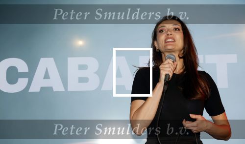 Amsterdam 11 mei 2026
Castpresentatie nieuwe versie musical Cabaret in het deLaMar theater -De cast bestaat oa uit : Hajo Bruins, Sylvia Poorta, Gaia Aikman, Chantal Janzen, Milan Sekeris, Freek Bartels,Marisa van Eyle en Valentijn Bernard. Daria Bukvic