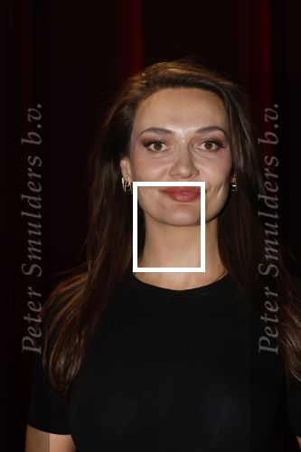 Amsterdam 11 mei 2026
Castpresentatie nieuwe versie musical Cabaret in het deLaMar theater -De cast bestaat oa uit : Hajo Bruins, Sylvia Poorta, Gaia Aikman, Chantal Janzen, Milan Sekeris, Freek Bartels,Marisa van Eyle en Valentijn Bernard. Daria Bukvic