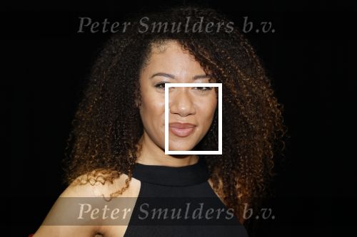 Amsterdam 11 mei 2026
Castpresentatie nieuwe versie musical Cabaret in het deLaMar theater -De cast bestaat oa uit : Hajo Bruins, Sylvia Poorta, Gaia Aikman, Chantal Janzen, Milan Sekeris, Freek Bartels,Marisa van Eyle en Valentijn Bernard