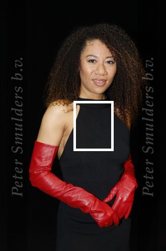 Amsterdam 11 mei 2026
Castpresentatie nieuwe versie musical Cabaret in het deLaMar theater -De cast bestaat oa uit : Hajo Bruins, Sylvia Poorta, Gaia Aikman, Chantal Janzen, Milan Sekeris, Freek Bartels,Marisa van Eyle en Valentijn Bernard