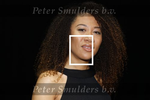 Amsterdam 11 mei 2026
Castpresentatie nieuwe versie musical Cabaret in het deLaMar theater -De cast bestaat oa uit : Hajo Bruins, Sylvia Poorta, Gaia Aikman, Chantal Janzen, Milan Sekeris, Freek Bartels,Marisa van Eyle en Valentijn Bernard