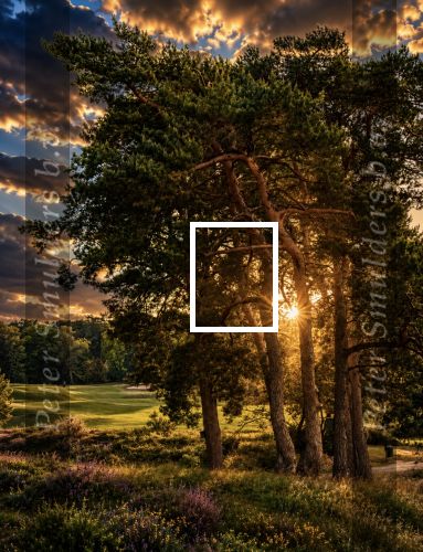 Eindhovensche Golf Hole 18 en oefengreef Karikatuur