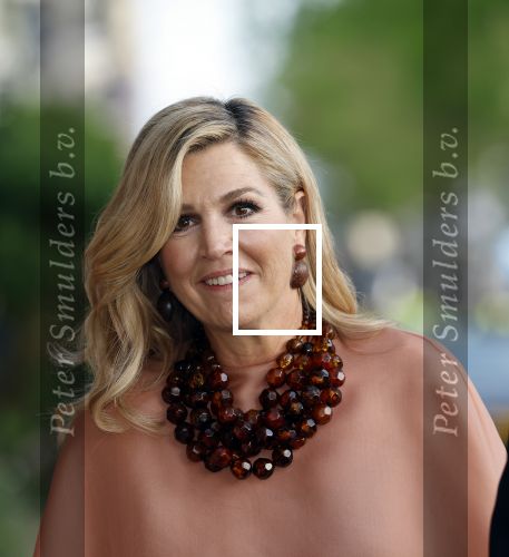 Amsterdam 5 mei 2026
5 mei Concert op de Amstel voor bevrijdingsdag . Koning Willem Alexander en Koningin Maxima zijn aanwezig .