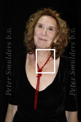 Amsterdam 11 mei 2026
Castpresentatie nieuwe versie musical Cabaret in het deLaMar theater -De cast bestaat oa uit : Hajo Bruins, Sylvia Poorta, Gaia Aikman, Chantal Janzen, Milan Sekeris, Freek Bartels,Marisa van Eyle en Valentijn Bernard
