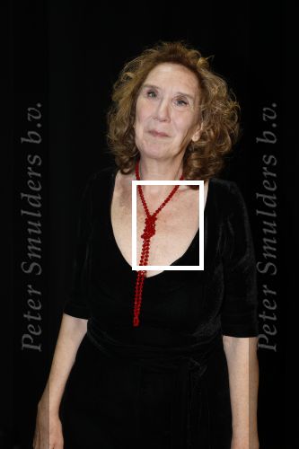 Amsterdam 11 mei 2026
Castpresentatie nieuwe versie musical Cabaret in het deLaMar theater -De cast bestaat oa uit :
Marisa v Eyle