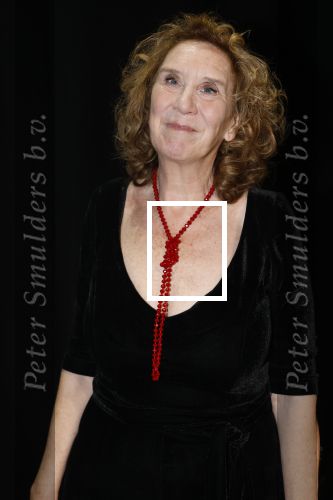 Amsterdam 11 mei 2026
Castpresentatie nieuwe versie musical Cabaret in het deLaMar theater -De cast bestaat oa uit :
Marisa v Eyle