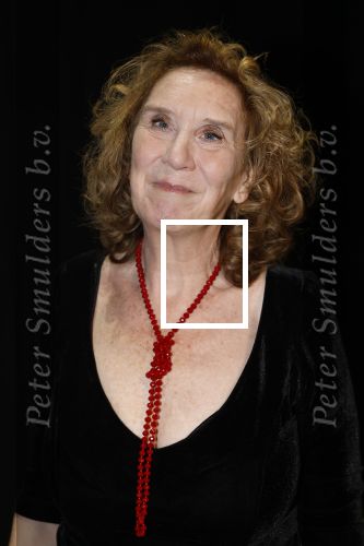 Amsterdam 11 mei 2026
Castpresentatie nieuwe versie musical Cabaret in het deLaMar theater -De cast bestaat oa uit :
Marisa v Eyle