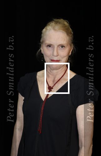 Amsterdam 11 mei 2026
Castpresentatie nieuwe versie musical Cabaret in het deLaMar theater -De cast bestaat oa uit : Hajo Bruins, Sylvia Poorta, Gaia Aikman, Chantal Janzen, Milan Sekeris, Freek Bartels,Marisa van Eyle en Valentijn Bernard