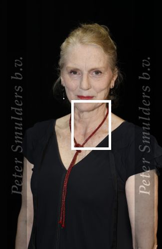 Amsterdam 11 mei 2026
Castpresentatie nieuwe versie musical Cabaret in het deLaMar theater -De cast bestaat oa uit : Hajo Bruins, Sylvia Poorta, Gaia Aikman, Chantal Janzen, Milan Sekeris, Freek Bartels,Marisa van Eyle en Valentijn Bernard
