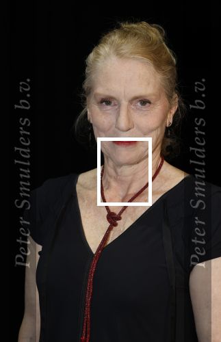 Amsterdam 11 mei 2026
Castpresentatie nieuwe versie musical Cabaret in het deLaMar theater -De cast bestaat oa uit : Hajo Bruins, Sylvia Poorta, Gaia Aikman, Chantal Janzen, Milan Sekeris, Freek Bartels,Marisa van Eyle en Valentijn Bernard