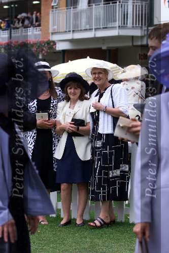 Ascot ( Engeland ) 17 juni 1999
Hoeden...hoeden  en nog meer hoeden op de LADY\'S-day tijdens de Ascot paardenraces