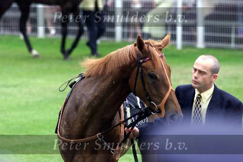 Ascot (Engeland ) 17 juni 1999
Ascot races met veel hoeden
Het paard van Koning Elizabeth
